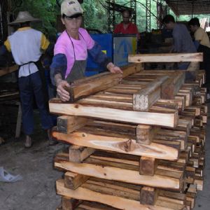 廣東省-惠州方木多片鋸150高加工現場1