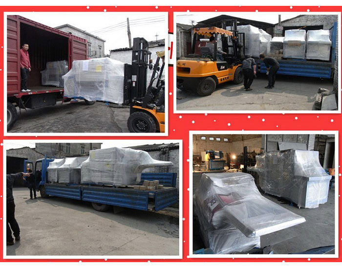 出口歐洲等多個(gè)國家、澳大利亞、現(xiàn)場圖片