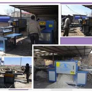 秦皇島-250原木多片鋸-方木150高多片鋸加工現(xiàn)場