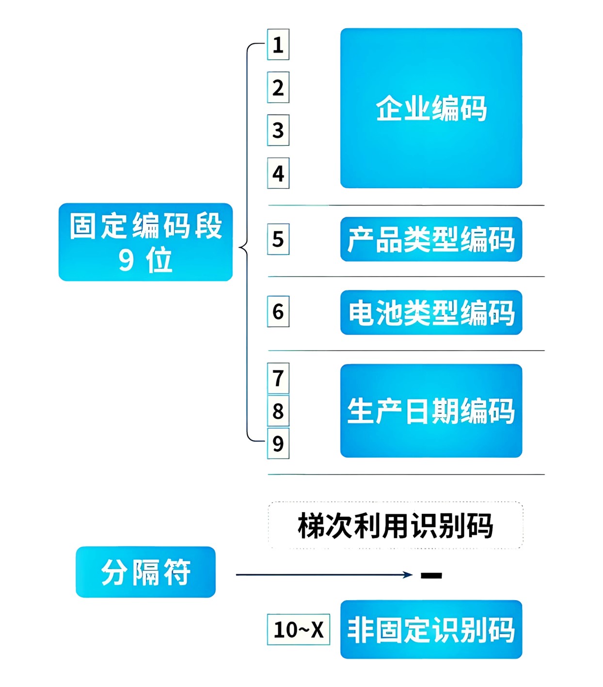 編碼結構.jpg
